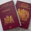 Netherlands passport for sale