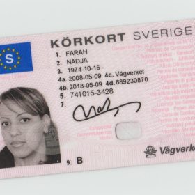 Swedish driver's license